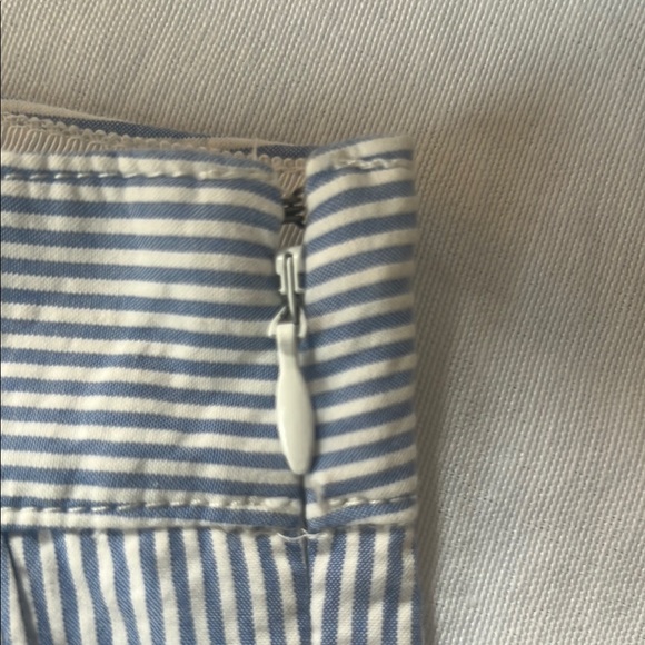 J. Crew Light Blue 100% Cotton Pinstripe Shorts Tailored Fit - Picture 3 of 10